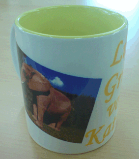 Tasse