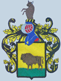 FSV Kopie